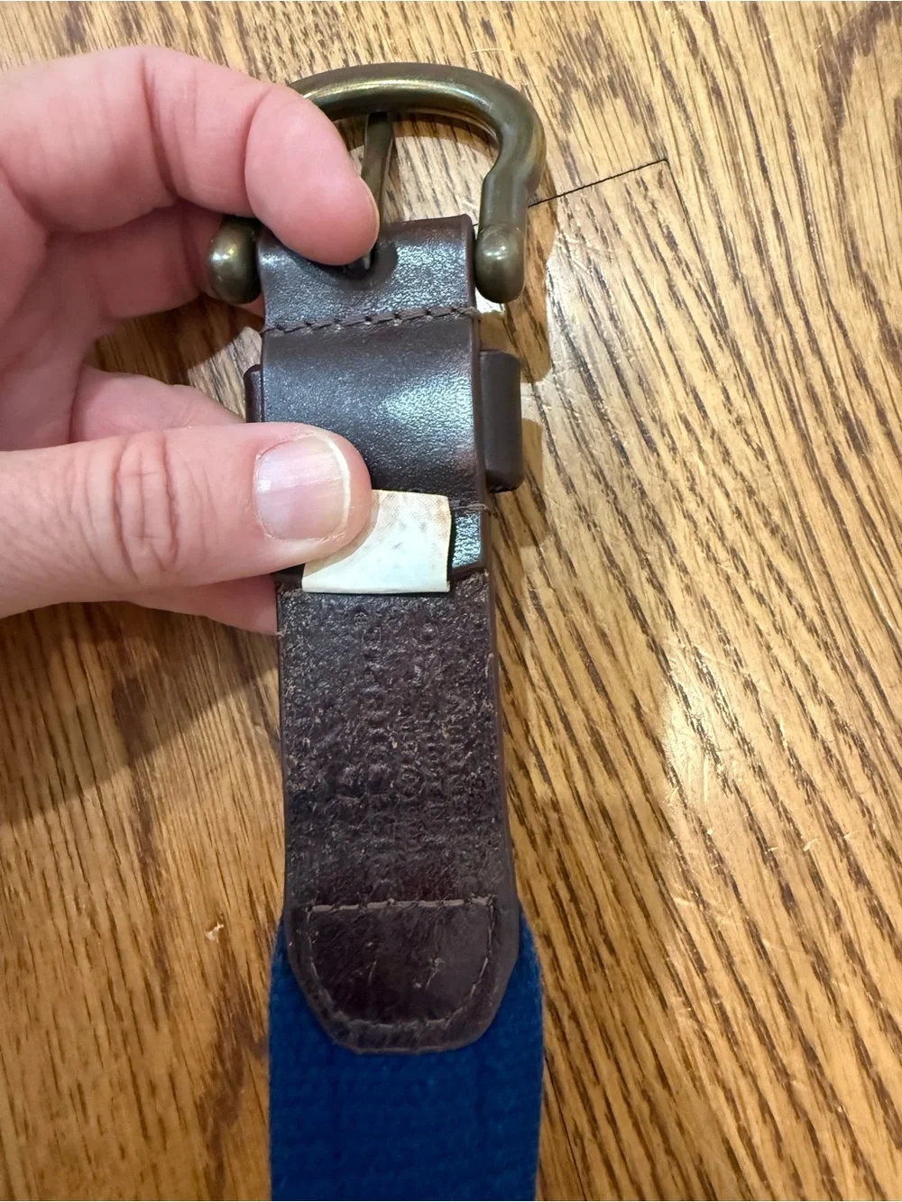 Mint Green Embroidered Leather Belt with Dark Trim